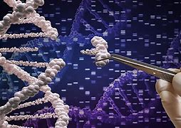 Image result for DNA Editing