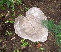 Image result for Stepping Stone Kits