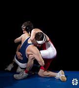 Image result for What Are the Diferent Styles of Wrestling