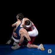 Image result for Wrestling Types of Styles