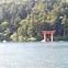 Image result for Hakone Shrine