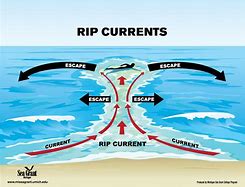 Image result for Ocean Rip