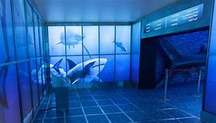 Image result for Sharks in Mall