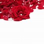 Image result for Red Rose Flower White Background