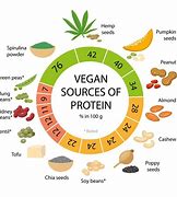 Image result for Vegetarian Diet Protein Sources