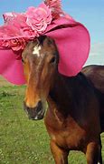 Image result for Horse Ears Side View