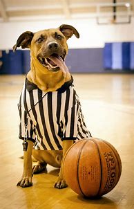 Image result for Referee Costume for Halloween