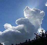 Image result for Animal Cloud Formations