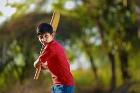 Image result for BackYard Cricket Pitch