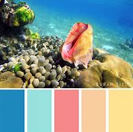 Image result for Summer Color Palette