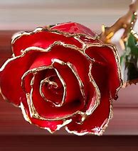 Image result for Smartwatch Golden Rose