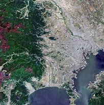 Image result for Satellite Tokyo Wikipedia