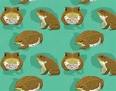 Image result for Wallpaper Background Toad