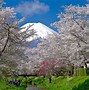 Image result for Fuji Five Lakes Japan