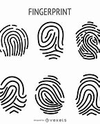 Image result for Fingerprint Graphic
