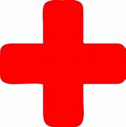 Image result for Red Plus Sign PNG