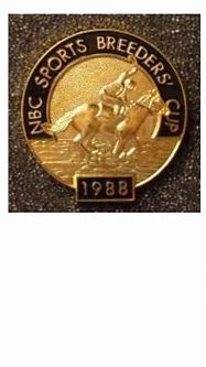 Image result for Breeders' Cup Pin