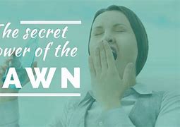 Image result for A Yawn in the Dawn