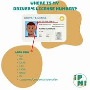 Image result for Find Your Driver License Number