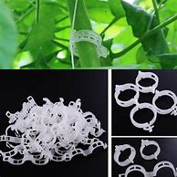 Image result for Plant Support Clips JPEG