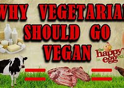 Image result for Why You Should Go Vegan