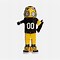 Image result for Iowa Hawkeyes Mascot