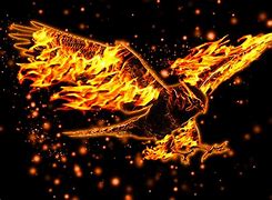Image result for HD 1080P Wallpapers for PC Fire