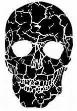 Image result for Transparent Half Skull