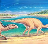 Image result for Raptor Dinosaur Species