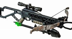 Image result for Excalibur Crossbows 2019
