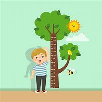 Image result for Measuring Height Cartoon