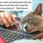 Image result for Life Quotes and Sayings Funny Cat