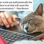 Image result for Funny Cat Sayings Quotes