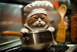 Image result for Cooking Funny Cats