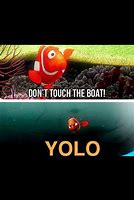 Image result for Nemo Yolo Meme