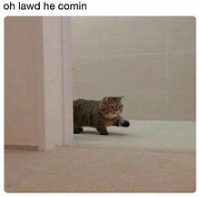 Image result for OH Lawd He Comin Cat