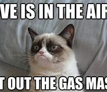 Image result for Grumpy Cat Song Memes