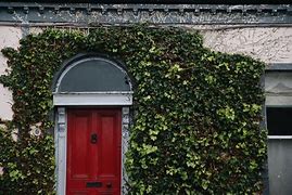 Image result for Moving to Ireland