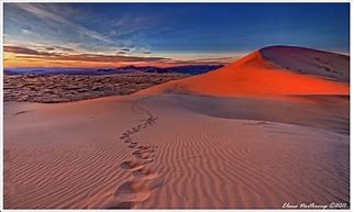 Image result for Kelso Dunes Mojave Desert