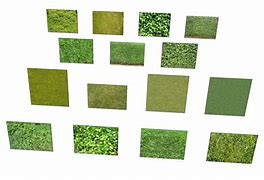 Image result for Grass Leaf Texture