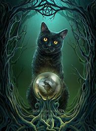 Image result for Black Cat Witch