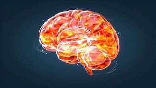 Image result for Brain Stress Animation