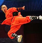 Image result for deadliest kung fu styles