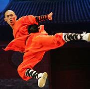 Image result for deadliest martial art