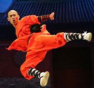 Image result for Most Dangerous Martial Arts in the World