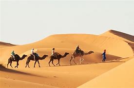 Image result for Jubba Oasis in the Nafud Desert