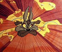 Image result for Coyote vs Road Runner Real Life