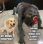 Image result for Golden Retriever Dog Meme