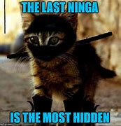 Image result for Invisible Ninja Cat Meme