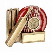 Image result for Resin Cricket Trophy